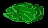 CABBAGE.BRUSH.iff