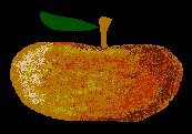 APPLE2.BRUSH.iff