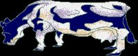 COWICON.BRUSH.iff