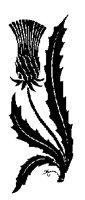 SHAPE3.LBM