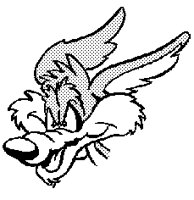 WILEY1.LBM