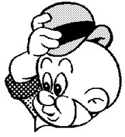 ELMER1.LBM