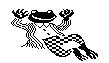 KERMIT.LBM
