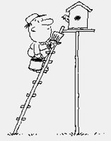 BIRDHOUSEPAINTER!.iff