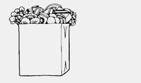 INTHEBAG.iff