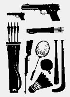PISTOLS+QUIVER+RIFLE.iff
