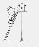 PAINTINGTHEBIRDHOUSE!.iff
