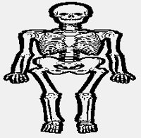 SKELETON1.iff