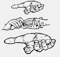 PALMS+RINGONFINGER.iff