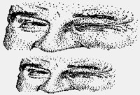 WINK.iff