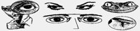 SPECTACLED+EVIL.iff
