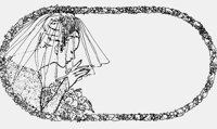 VEILEDBRIDESIGN.iff