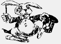 RABBITHOLDINGHAT&WAND.iff