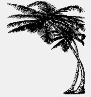 PALMTREE.iff