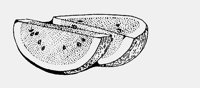 WATERMELON.iff