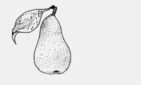 PEAR2.iff