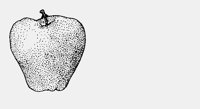 APPLE.iff