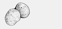 POTATOES.iff