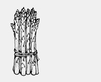 ASPARAGUS.iff