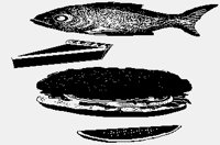 FISH+FLATBURGER.iff