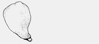 CHICKENLEG?.iff
