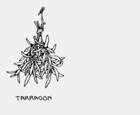 HERB14.iff
