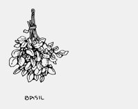 HERB13.iff