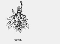 HERB09.iff