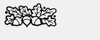 ACORNSANDOAKLEAVES.iff