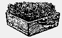 PLANTBOX.iff
