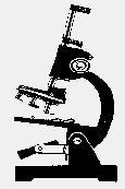 MICROSCOPE.iff