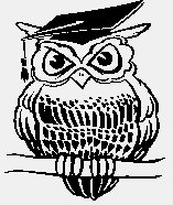 WISEOWL.iff