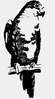 PARROT01.iff