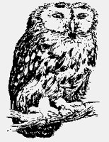 OWL.iff
