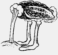 OSTRICHHEADINSAND!.iff