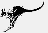 KANGAROO.iff