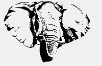 ELEPHANT.iff