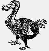 DODO01.iff