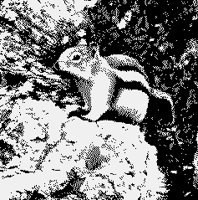 CHIPMUNK.iff
