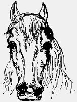 HORSES03.iff