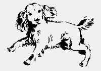 DOGS02.iff