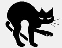 CAT01.iff