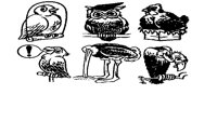 BIRDS3.IFF