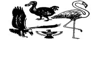 BIRDS1.IFF