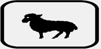 SHEEP.IFF