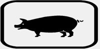 PIG.IFF