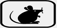 MOUSE.IFF