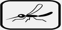 MOSQUITO2.IFF