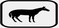 HORSE.IFF