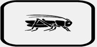 GRASSHOPPER.IFF